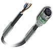 SAC-4P- 5 0-PUR/M12FS-2L  Wire & Cable