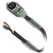 SAC-4P- 5 0-PUR/M12FS-2L Sensor Cables / Actuator Cables