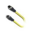 SAC-4P-M8MS/ 0 5-542/M8 FS Sensor Cables / Actuator Cables