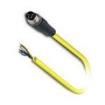 SAC-4P-M8MS/10 0-542 BK Sensor Cables / Actuator Cables