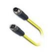 SAC-4P-M8MS/1 5-542/M8FS S Sensor Cables / Actuator Cables