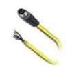 SAC-4P-M8MS/ 2 0-542 SH BK Sensor Cables / Actuator Cables