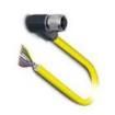 SAC-8P- 5 0-542/ FR SH SCO Sensor Cables / Actuator Cables