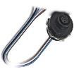 SACC-E-M12FS-5CON-NPT12/1  Wire & Cable