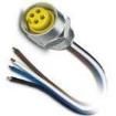 SACC-E-MINF-4CON-NPT12-547 Sensor Cables / Actuator Cables