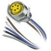 SACC-E-MINF-5CON-NPT12-547 Sensor Cables / Actuator Cables