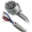 SACC-E-MINF-5CON-NPT12-U30 Sensor Cables / Actuator Cables