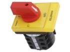 PKT4-C97TXXXOFY000 Basic / Snap Action Switches
