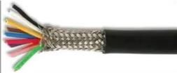 PP000319  Wire & Cable