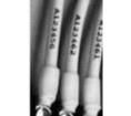 492833-000 Heat Shrink Tubing and Sleeves