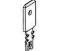 4-1601081-2 Terminals