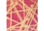 CV200-2.5 Cable Ties