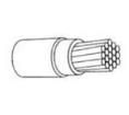 000581-000  Wire & Cable