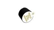 AT-1224-TWT-5V-2-R Speakers & Transducers