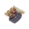 CX2041NLT  Passive Components