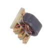 CX2041NLT Audio Transformers / Signal Transformers