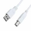 3021063-10 USB Cables / IEEE 1394 Cables