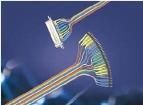 Q2-F3X-RK1-1-01-6IN-8  Wire & Cable