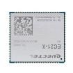 EC21AUXGA-128-SGNS  Embedded Solutions
