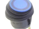 R13-112B8W-02-BUNN-0A-L2 Rocker Switches