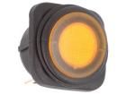 R13-203B84-01-BAAN1  Electromechanical