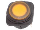 R13-203B84-01-BAAN1 Rocker Switches