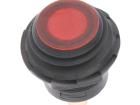 R13-553B2L-01 Pushbutton Switches