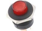 R13-553BL-01 Pushbutton Switches
