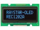 REC001202ABPP5N00000 electronic component of Raystar