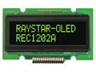 REC001202AGPP5N00100 electronic component of Raystar