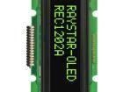 REC001202AGPP5N00100 OLED Displays & Accessories