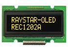 REC001202AYPP5N00000 electronic component of Raystar