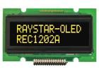 REC001202AYPP5N00100 electronic component of Raystar