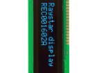 REC001602ABPP5N00100 OLED Displays & Accessories