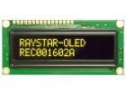 REC001602AYPP5N00001 electronic component of Raystar