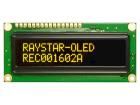 REC001602AYPP5N00100 electronic component of Raystar