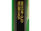 REC001602AYPP5N00100 OLED Displays & Accessories