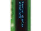 REC001602EBPP5N00100 OLED Displays & Accessories