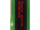 REC001602ERPP5N00100 OLED Displays & Accessories