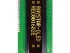 REC001602EYPP5N00100 OLED Displays & Accessories