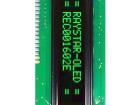 REC001602HGPP5N00000 OLED Displays & Accessories