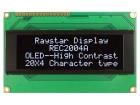 REC002004AWPP5N00100 electronic component of Raystar