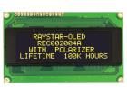 REC002004AYPP5N00100 electronic component of Raystar