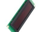 REG010016DBPP5N00100 OLED Displays & Accessories