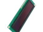 REG010016JBPP5N00100 OLED Displays & Accessories