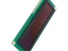 REG010016JGPP5N00100 OLED Displays & Accessories