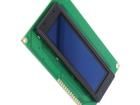 REG010032AGPP5N00100 OLED Displays & Accessories
