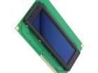 REG010032AYPP5N00100 OLED Displays & Accessories