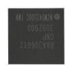 RAA306012GNP#AAN  Semiconductors