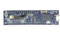 RTK5RLG1M0C00000BJ  Embedded Solutions
